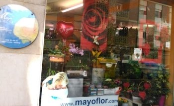 Mayo Floristerías