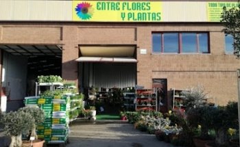 Entre Flores y Plantas