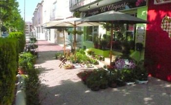 Floristería El Elegante