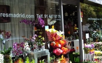 Madrid Floral