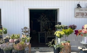 Floristería Cotton Candy