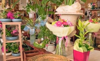 GARDENIA @floresyalgomas