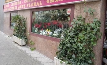 floristeria los claveles