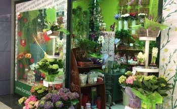 La Rosa De Oro Metromar