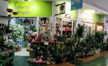 Floristería Rosa Cuadrado Copo