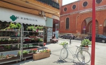 Floristería Espacios Verdes