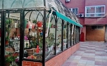 Floristería Flor Del Día