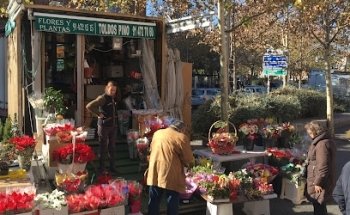 Florista María Garrido Pérez