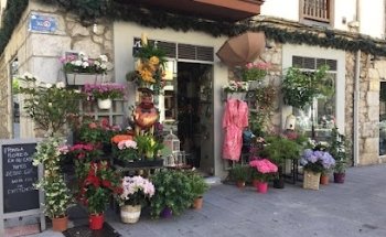 Rebolledo Floristería Santander