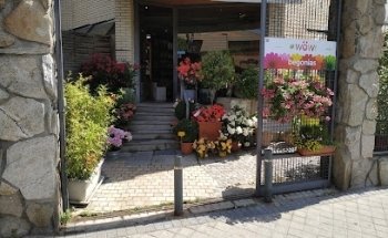 Floristería La Ermita de Pozuelo