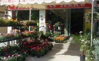 Floristerías Jericó Guadix | Flores a domicilio 24 h