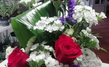 Floristería Dori