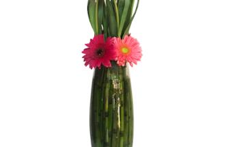 Amelia's Flowers