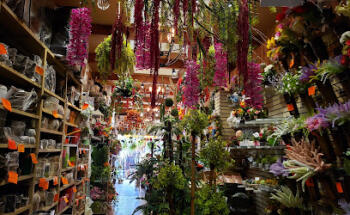 Botanix Artificial Flowers