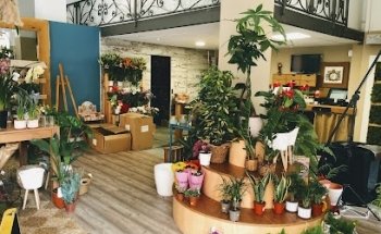 Floristería Antonio Vicent