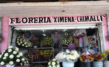 Floreria Ximena Chimalli
