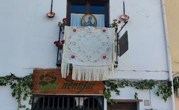 Floristería Nenúfar