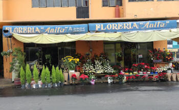 Florería 