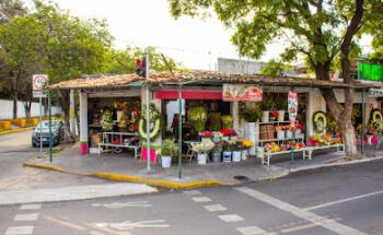 Florería Marys