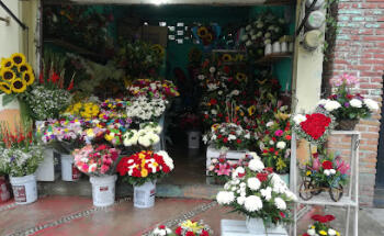 Floreria