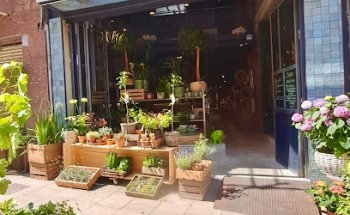 Floristeria Art Floral Can Remolins