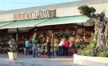 Floristeria La Campana San Antón