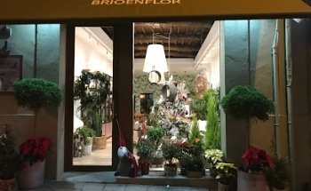 Floristería Brioenflor