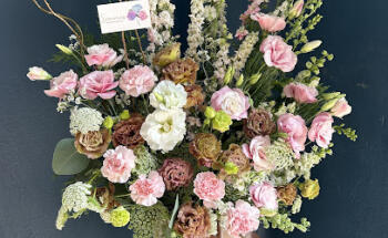 Floreria Somnus