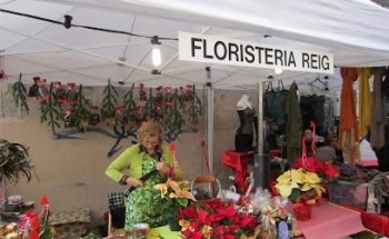 Floristeria Reig