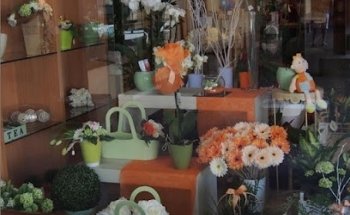 Floristeria Isabel