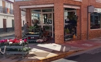 Floristería El Lazo