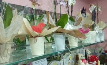 Floristeria La Miranda (Cornellà de Llobregat)