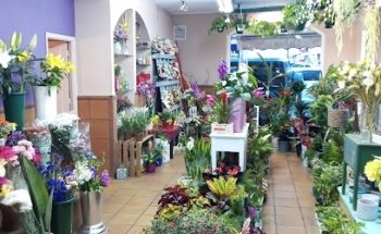 Arbre Floristería