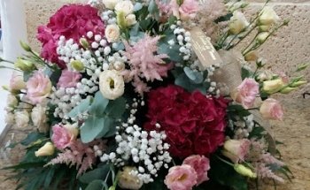 El Jardín de Teresa