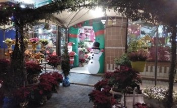 Floristería Punta Flor