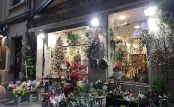 FELIÑARÁN floristas