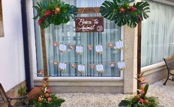 Verónica Arte Floral