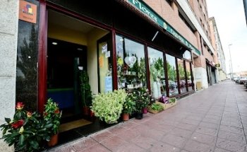 Floristería y Plantas Carmen