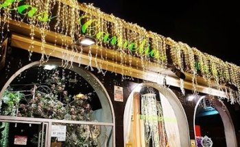 Las Camelias Arte Floral