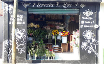 Florecita & Algo +