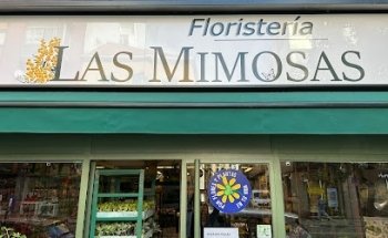 Las Mimosas Floristería, S.L. (Mª Noelle García García)