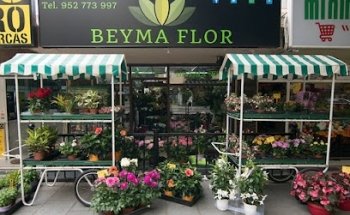 Florists in Marbella, Beyma Flor