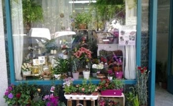 Tu Floristería en Casa