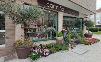 Floristas Carmiña