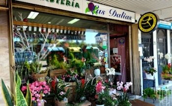 Florist Las Dalias