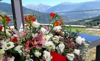 Floristeria Espiga Verda