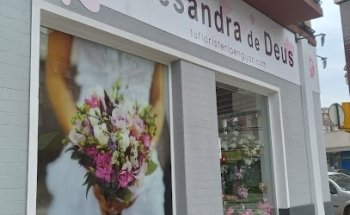 Floristería en Gijon by Alesandra de Deus