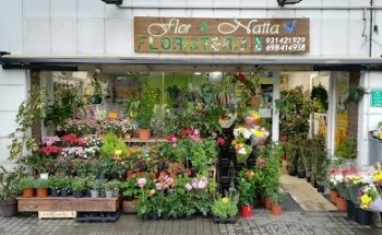 Floristeria Flor i Nata