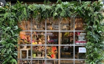 Floristería San Carlos