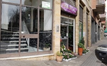 Floristería Flortique